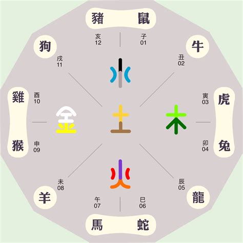 未五行|十二地支详解：未代表什么含义